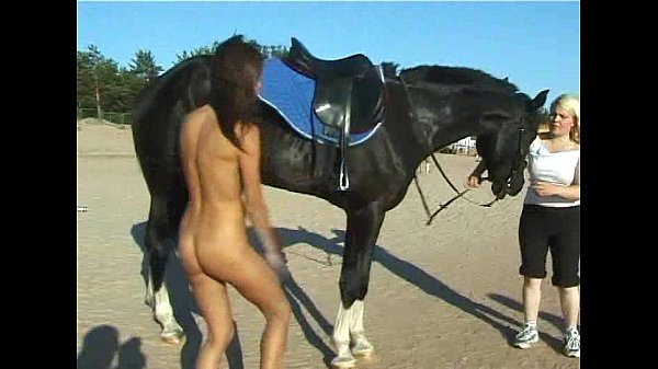XNXXX Horse - Hot Porno!